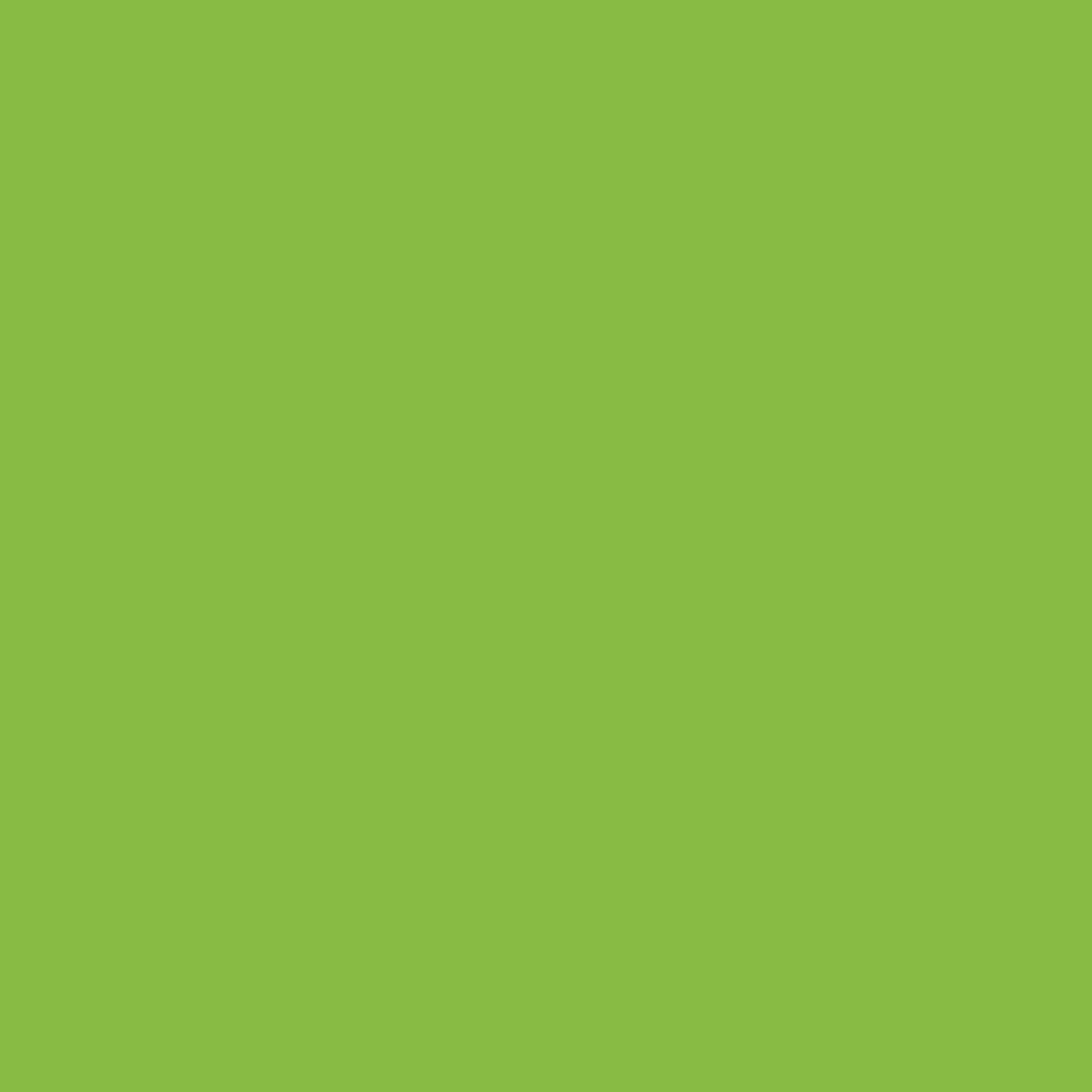 Guacamole Green - MTN94