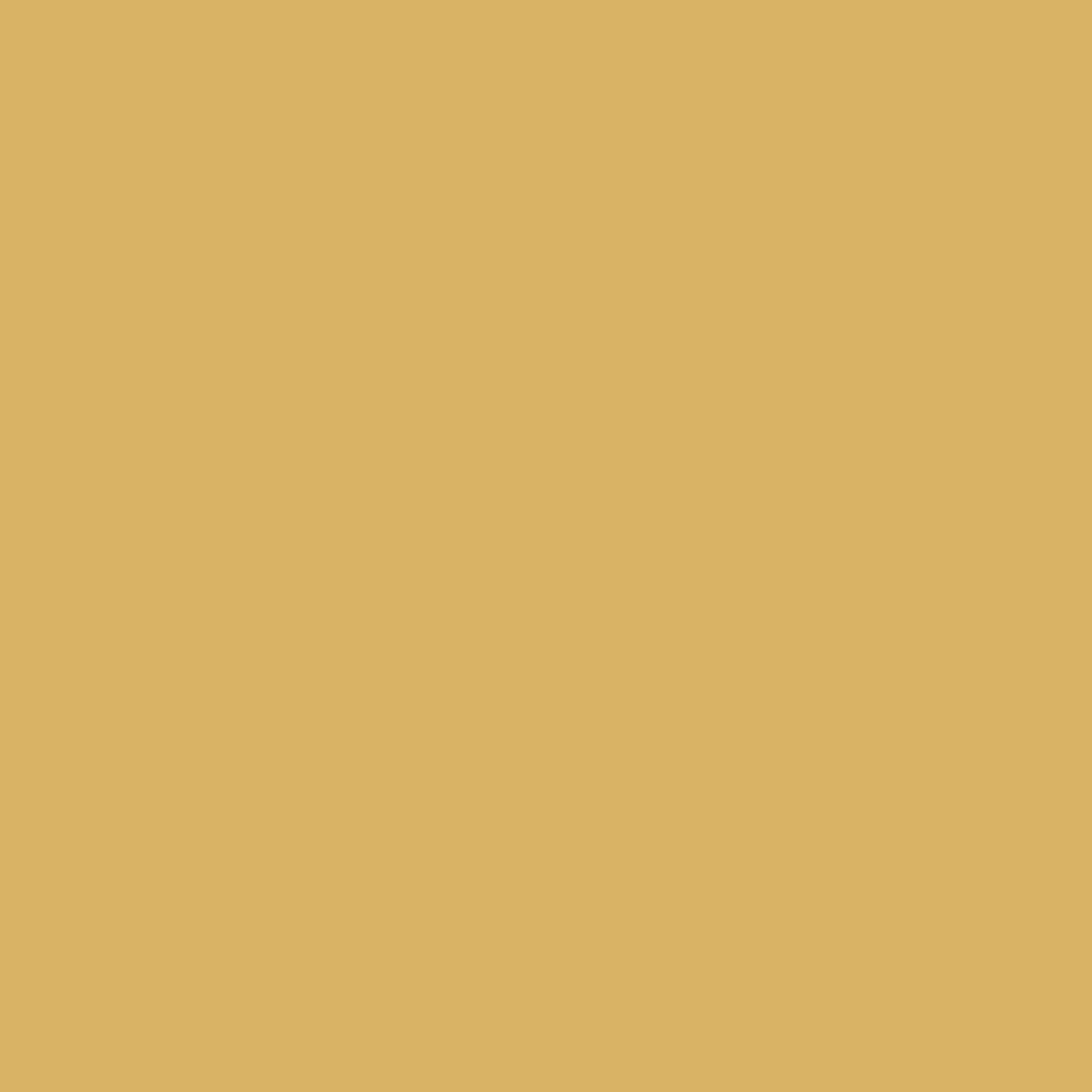 Inca Brown - MTN94