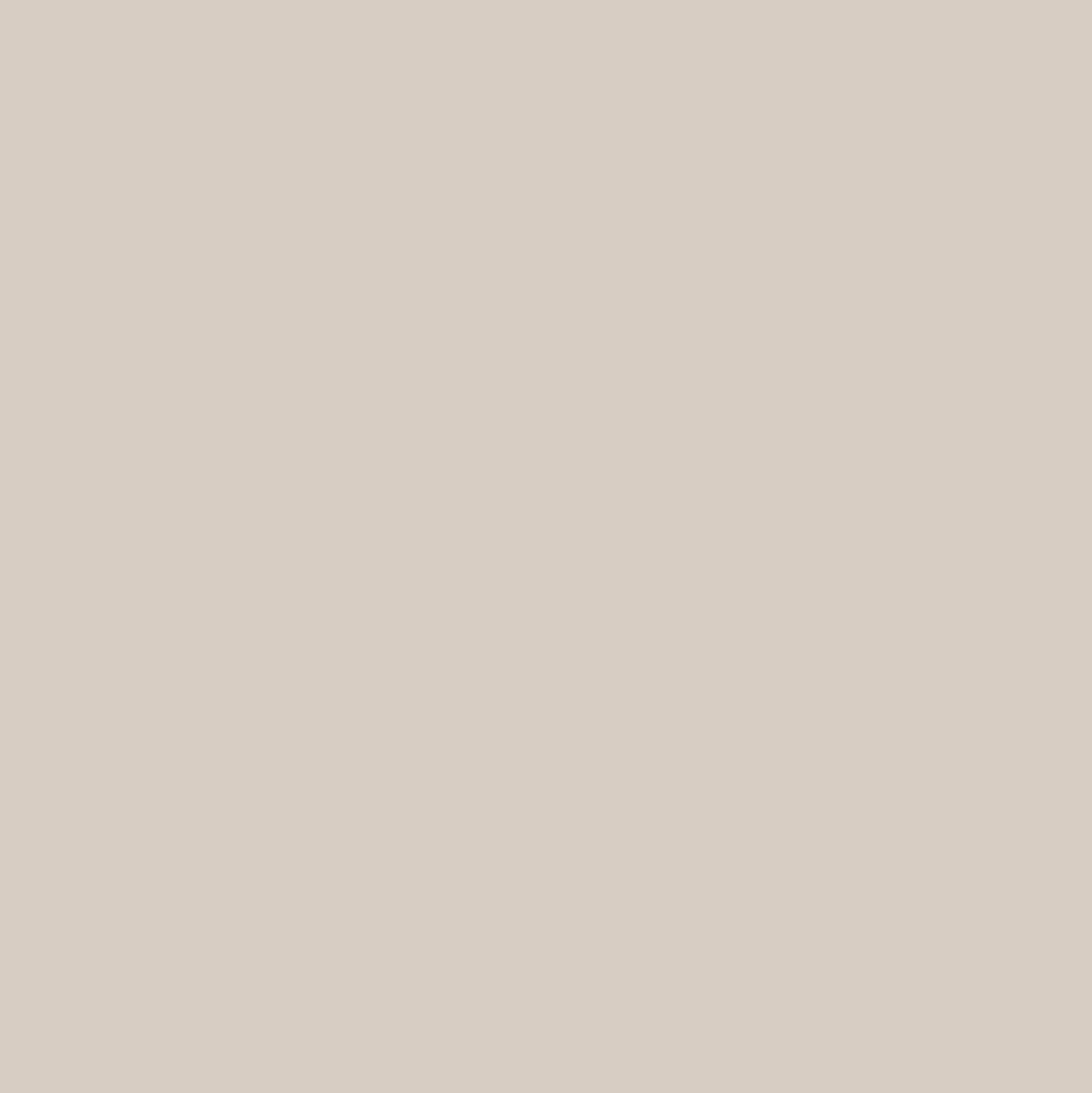 Koala Grey - MTN94