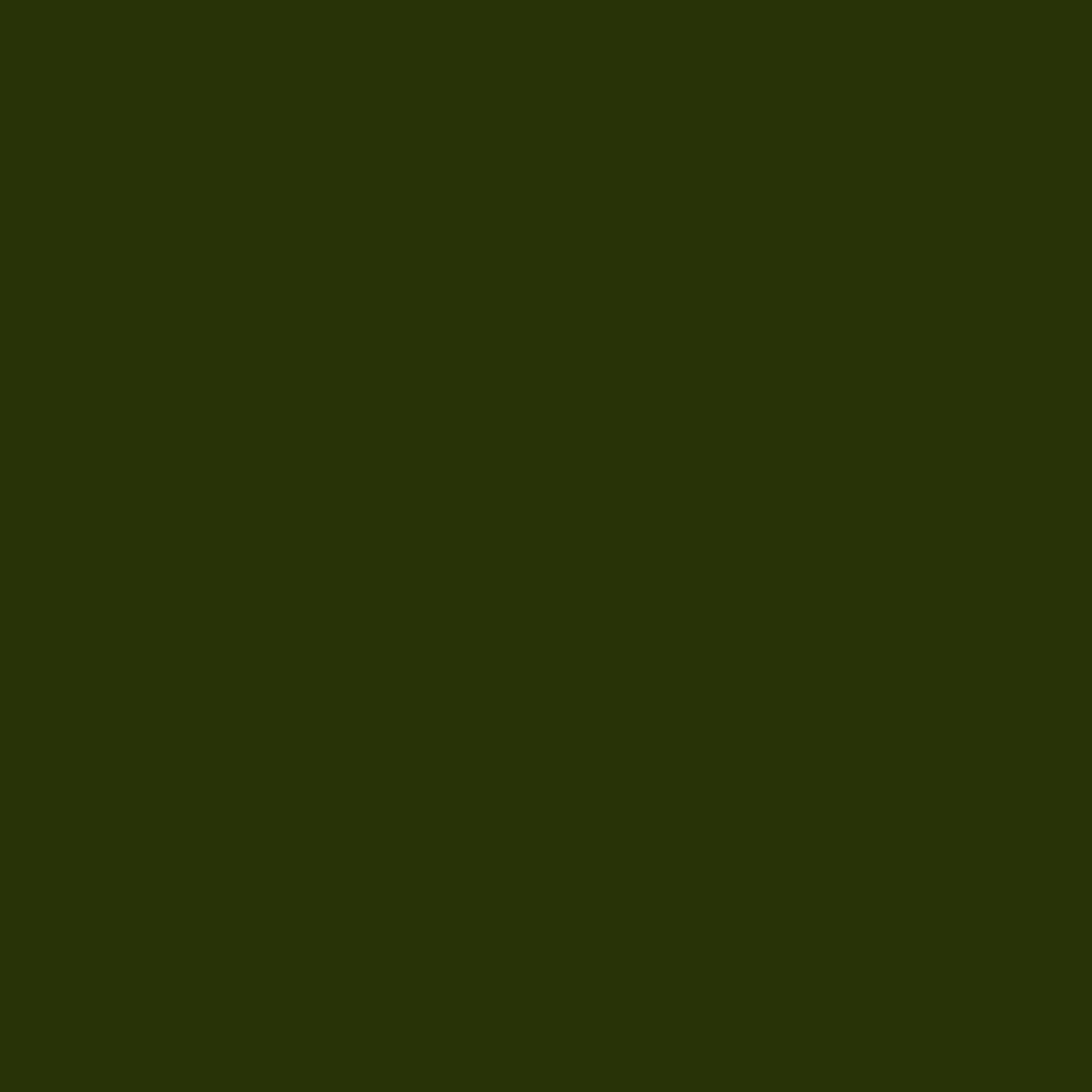 Borneo Green - MTN94