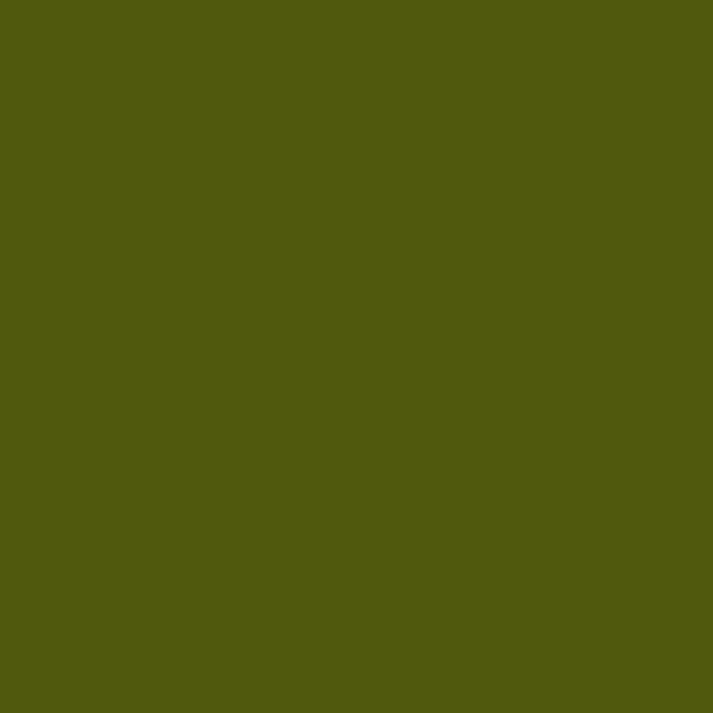 Euskadi Green - MTN94