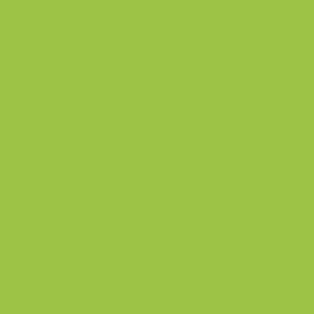 Iguana Green - MTN94