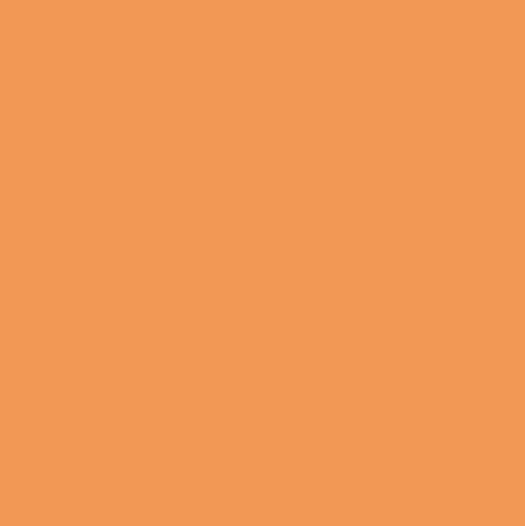 Plural Orange - MTN94