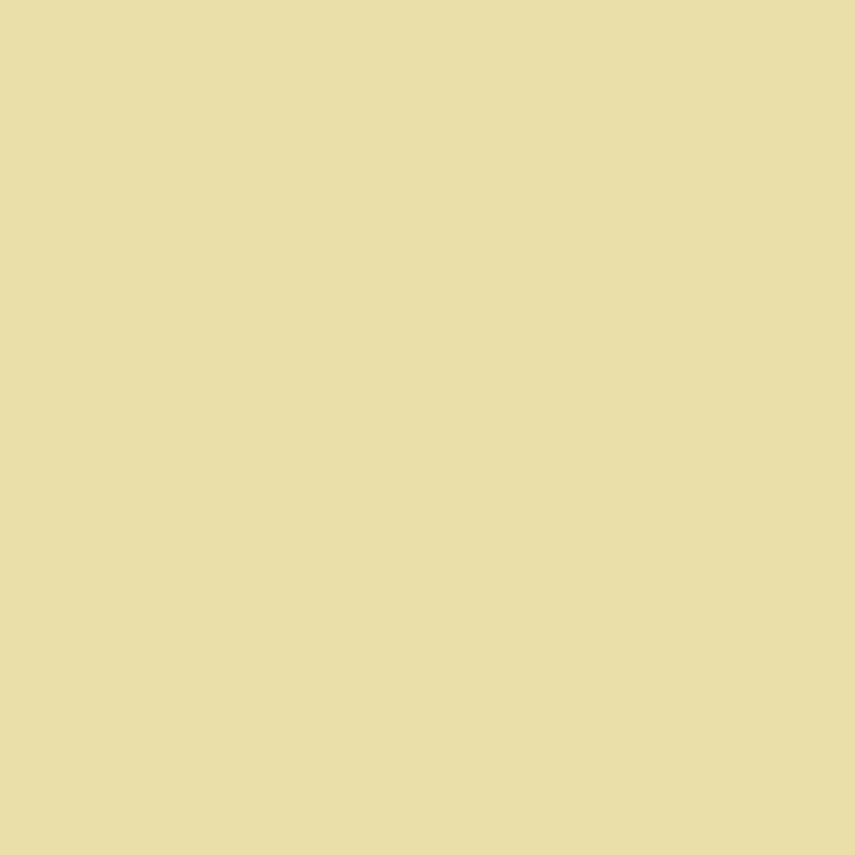 Safari Brown - MTN94