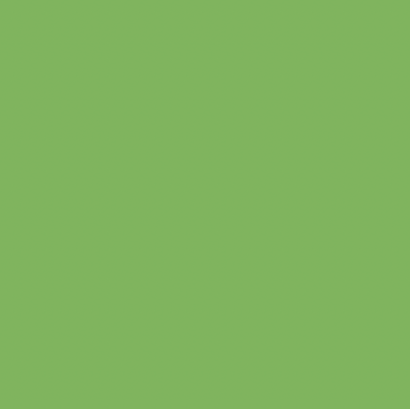 Semi Transparent - Breeze Green - MTN94