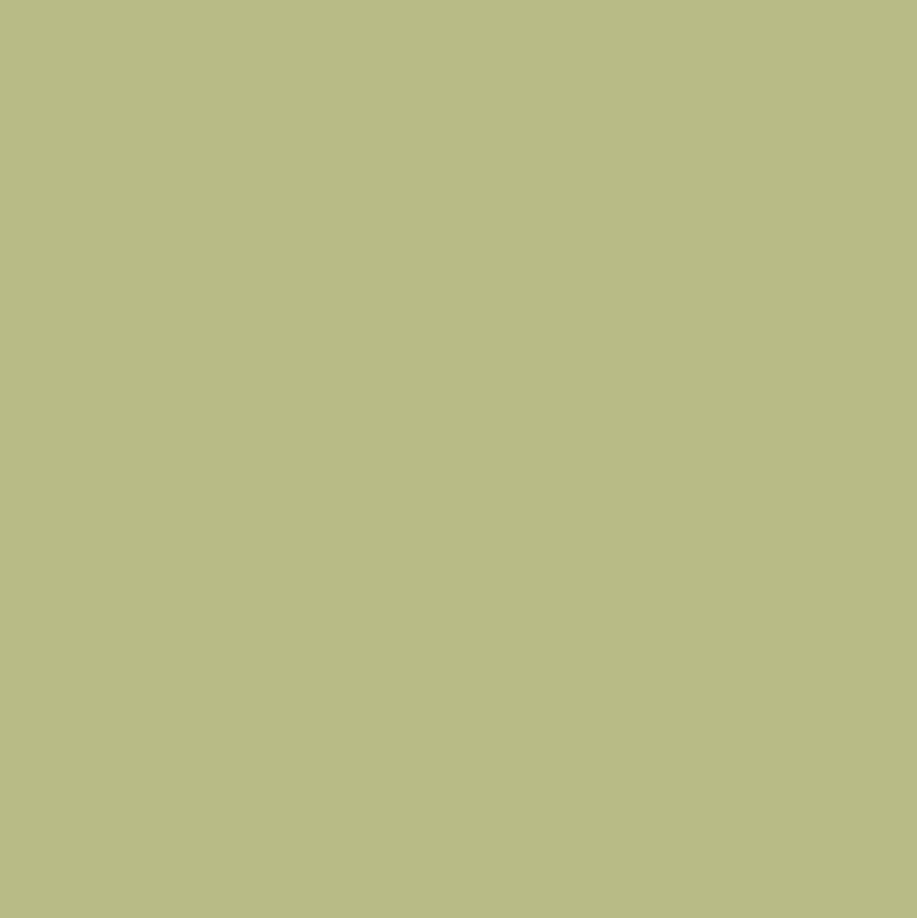 Bonsai Green - MTN94