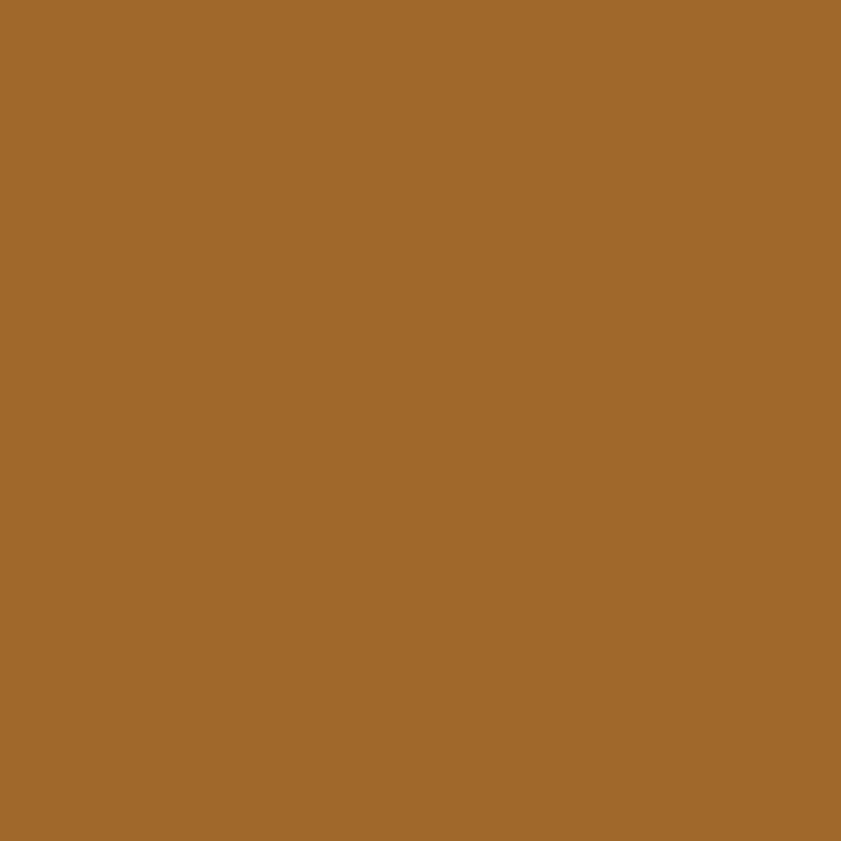 Chiapas Brown - MTN94